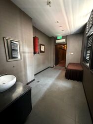Telok Ayer Conservation Area (D1), Shop House #618923271